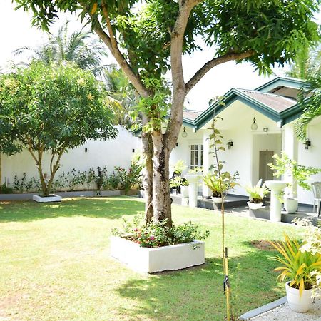 The Bamboo Tree Transit Hotel 卡图纳耶克 外观 照片