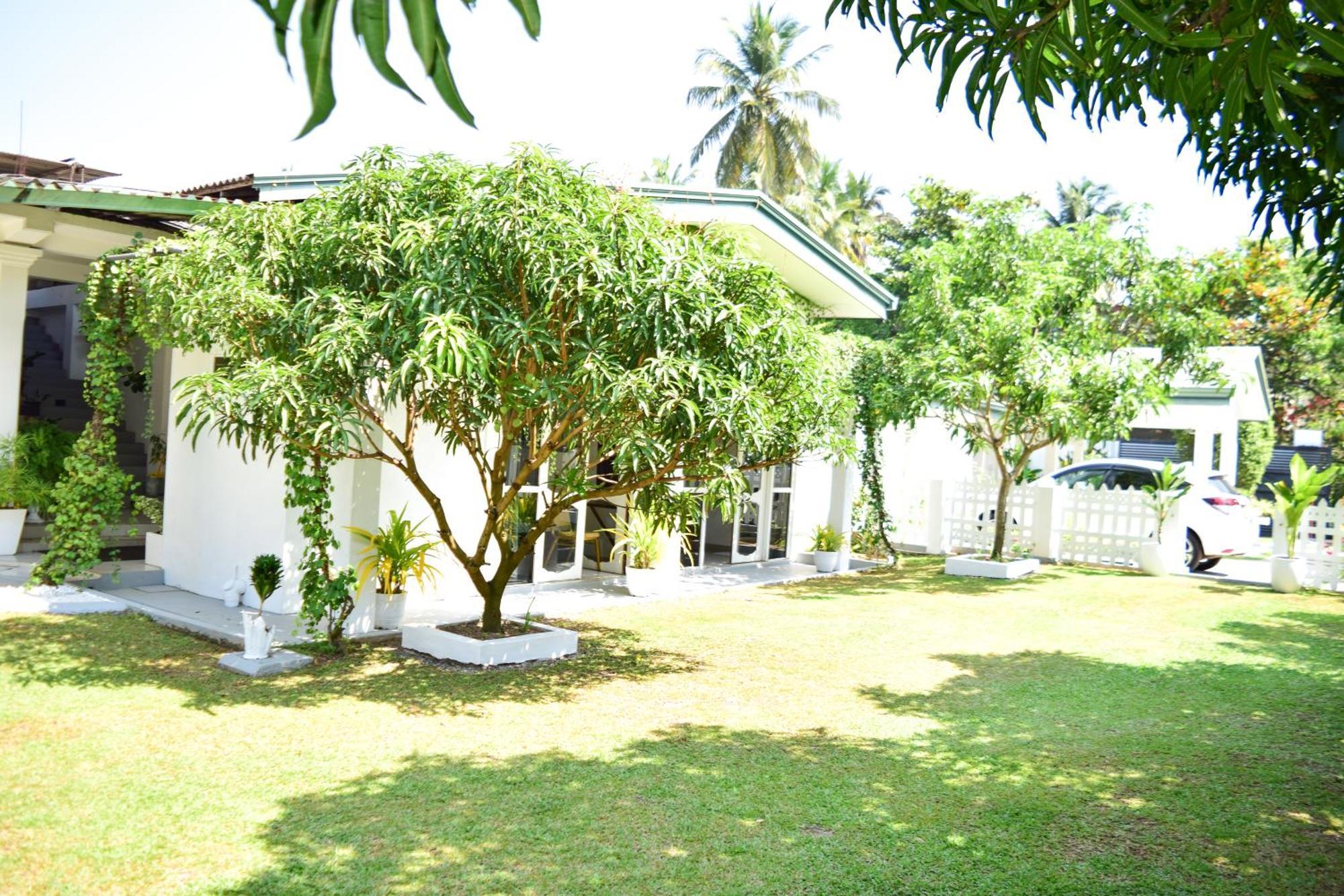 The Bamboo Tree Transit Hotel 卡图纳耶克 外观 照片