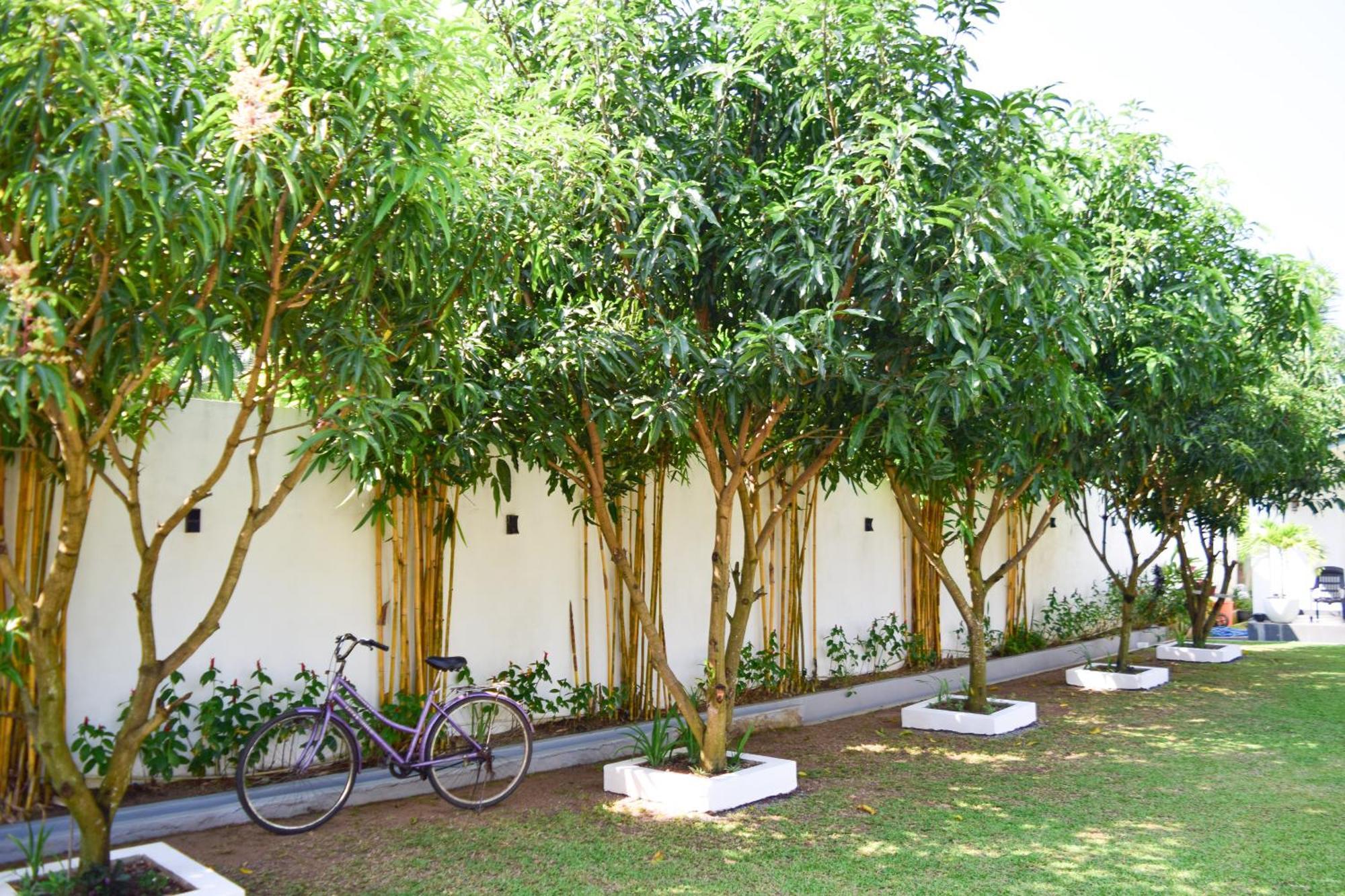 The Bamboo Tree Transit Hotel 卡图纳耶克 外观 照片